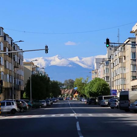 Modern Apartament Fagaras Luaran gambar